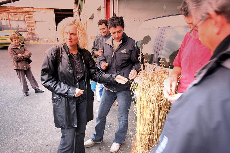 b - A la ferme (12).jpg - A la ferme - seigle ou avoine